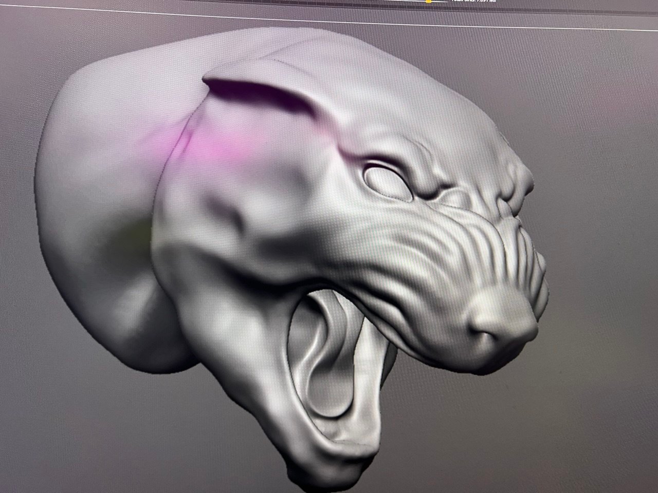 Panthers 3D Process