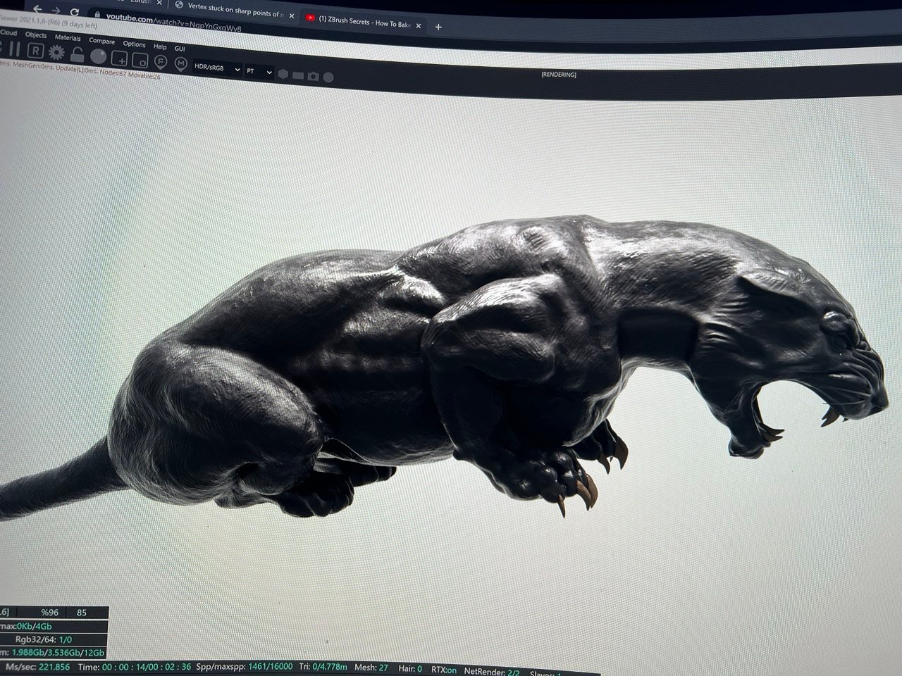 Panthers 3D Process